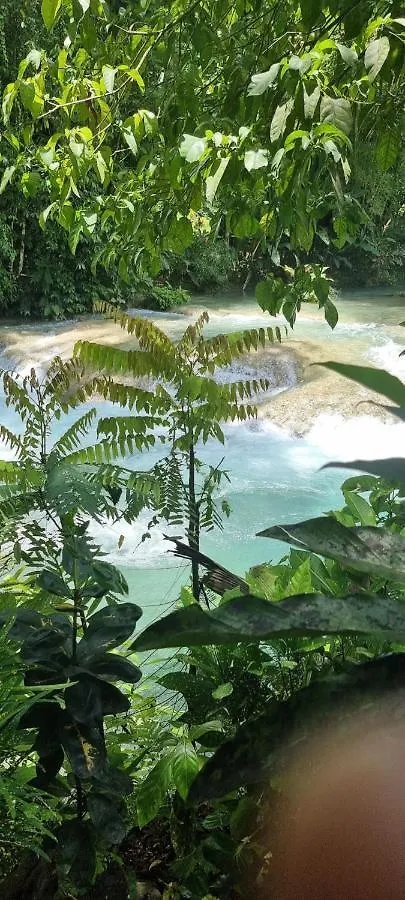Komfort Getaway Villa At Countrymist Ocho Rios